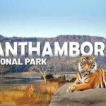 Reasons Why Ranthambore is the Best Park in India for Tiger Safaris