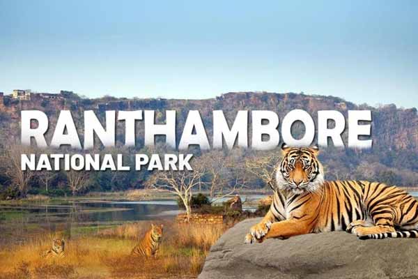 Reasons Why Ranthambore is the Best Park in India for Tiger Safaris