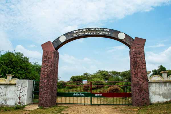 A Peaceful Day Trip to Ramdevra Wildlife Sanctuary in Jaisalmer