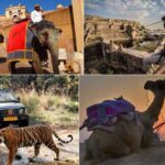 Top Activities To Enjoy In Rajasthan