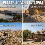 10 Best Places to Visit in Jawai