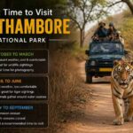 Best Time to Visit Ranthambore National Park