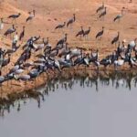 Places to Visit in Khichan