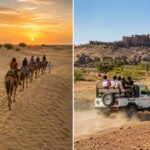 Camel Safari vs Jeep Safari in Rajasthan