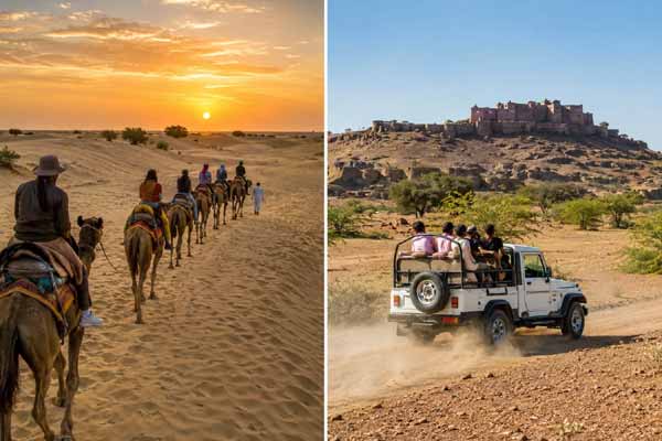 Camel Safari vs Jeep Safari in Rajasthan
