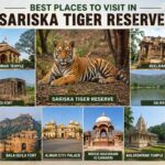 Best Places to Visit in Sariska Tiger Reserve : Timings, Entry Fee & Travel Guide Best Places to Visit in Sariska Tiger Reserve