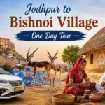 Jodhpur to Bishnoi Village One Day Tour (Morning & Evening Safari) Jodhpur to Bishnoi Village One Day Tour