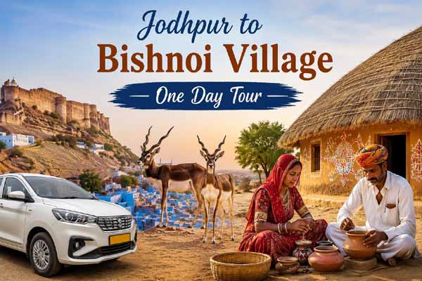 Jodhpur to Bishnoi Village One Day Tour