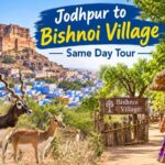 Jodhpur to Bishnoi Village Same Day Tour