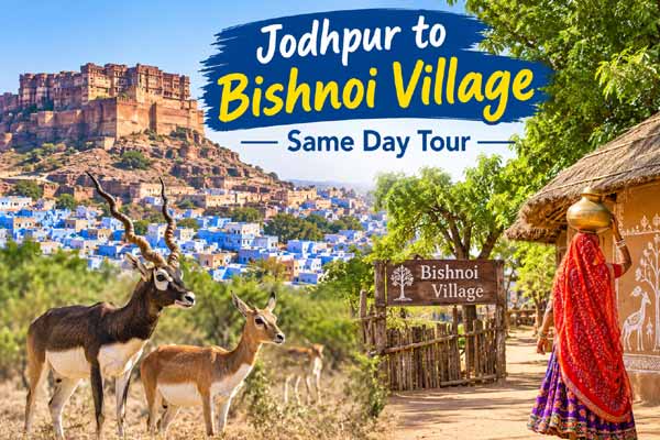 Jodhpur to Bishnoi Village Same Day Tour
