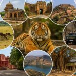 Top 10 Attractions in Ranthambore Top 10 Attractions in Ranthambore