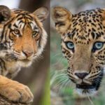 Best Nature and Wildlife Destinations in Rajasthan Best Nature and Wildlife Destinations in Rajasthan