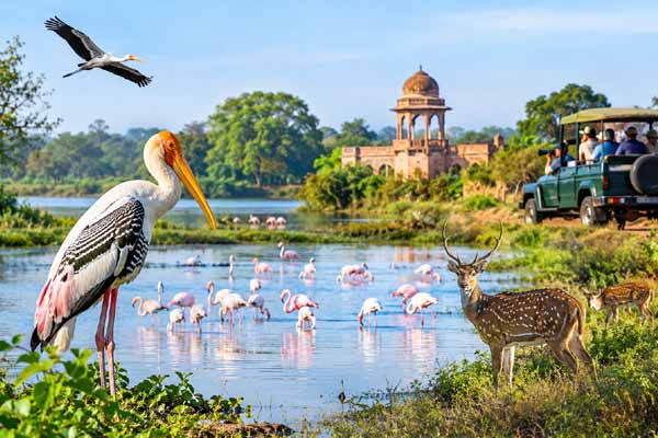 Best Tourist Attractions in Bharatpur for Wildlife Lovers