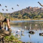 Bird Watching at Surwal Lake Ranthambore Bird Watching at Surwal Lake Ranthambore