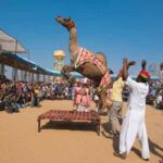 Pushkar Camel Fair 2026