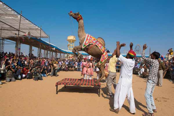 Pushkar Camel Fair 2026