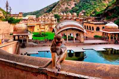 Rajasthan Tour Packages Jaipur jodhpur udaipur