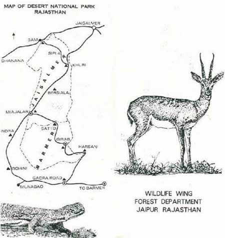 tripadvisor rajasthan