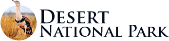 Jaisalmer Desert National Park