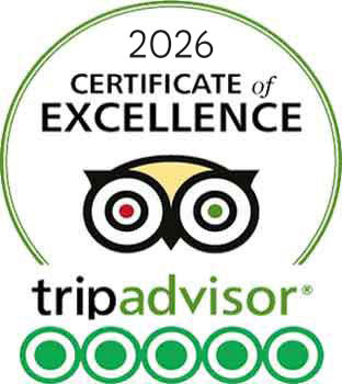 tripadvisor India