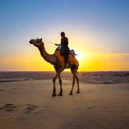 Sand Dunes Jaisalmer
