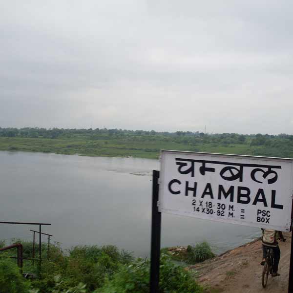 Agra Chambal Safari Day Trip