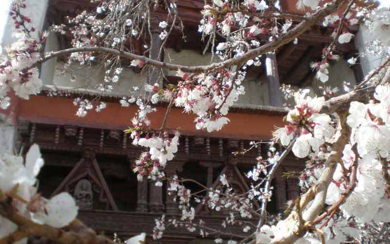 Alchi Choskor Monastery