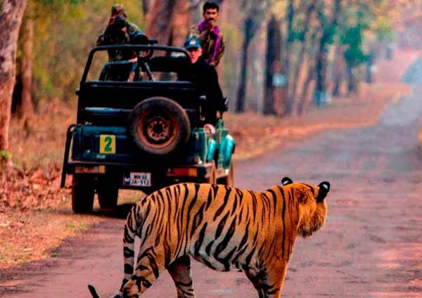 Tourist Attractions in Ranthambore