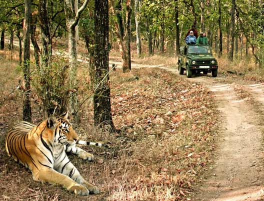 Bandhavgarh Tour Package