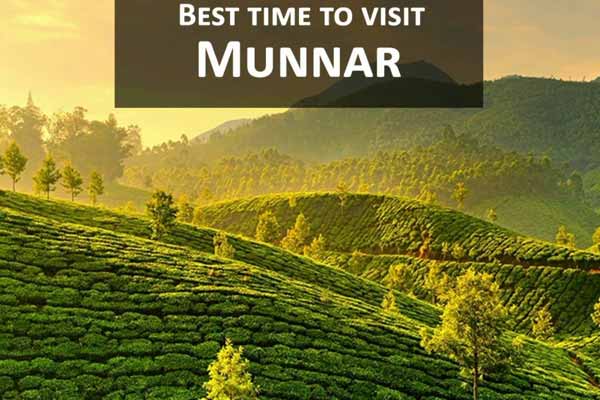 Munnar Best Time To Visit