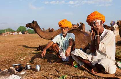 Best Time to Visit pushkar