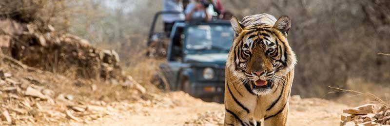 02-05 Days Rajasthan Tours