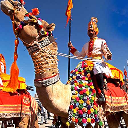 Camel Festival, Bikaner 