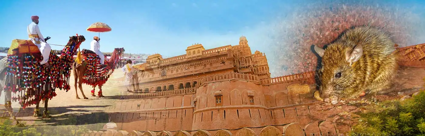 Bikaner Tour Plan