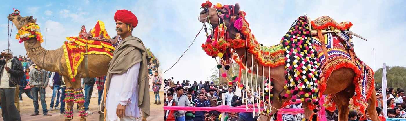 Bikaner Camel Festival Timings, Entry Fees, Location, Facts, History, Architecture & Visiting Time