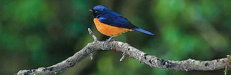 02-05 Days Rajasthan Tours