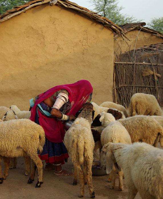 51-100 km from Jaipur