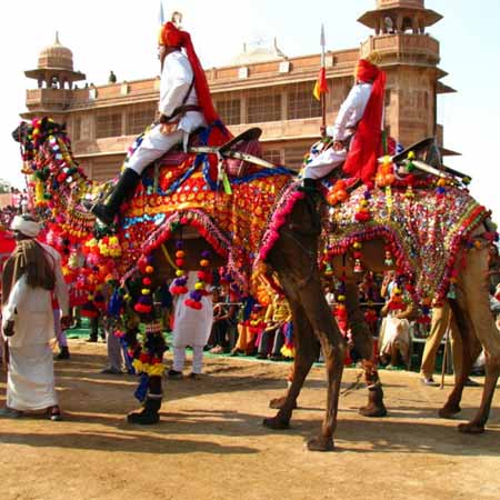 Jaipur elephant painting