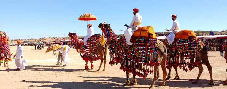 Bikaner Camel Festival