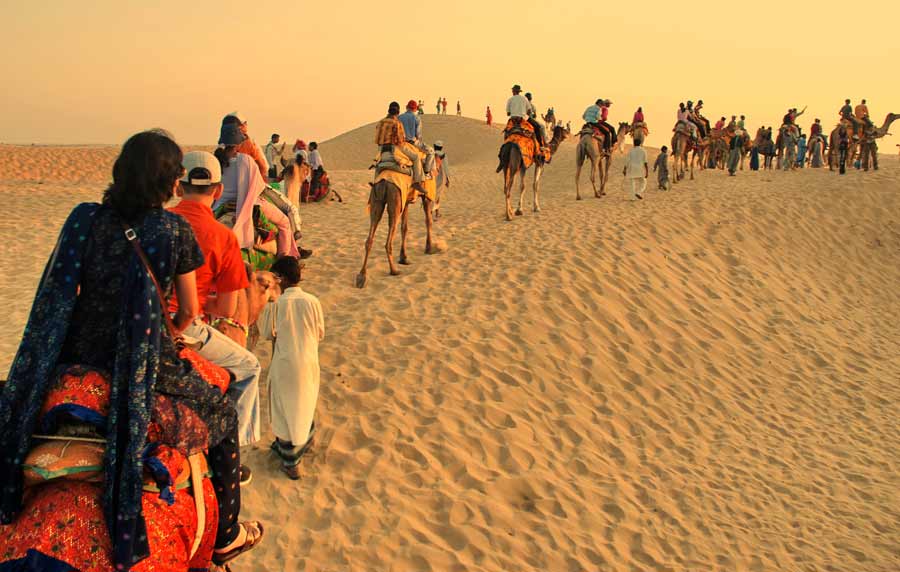 Cammello Safari Jaisalmer