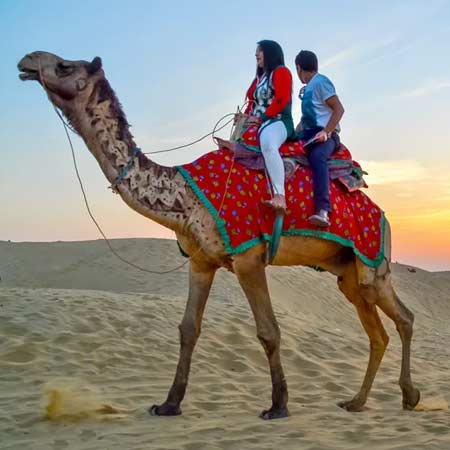 Camel Safari in Jaisalmer