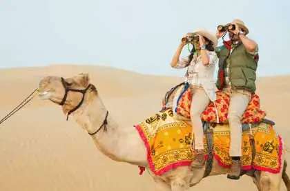 Camel Safari Jaisalmer