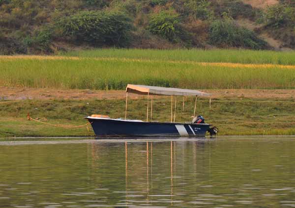 Chambal River Safari