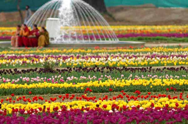Cheap Kashmir Tour