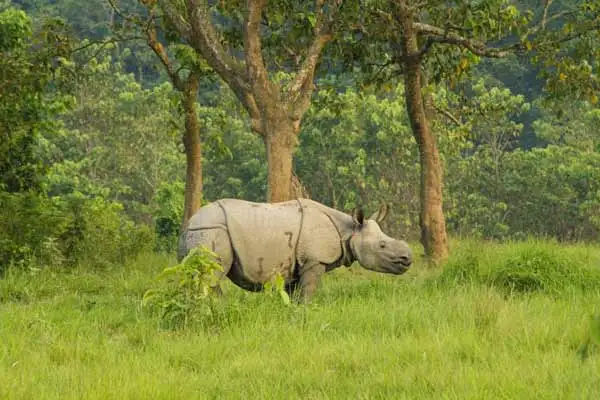 wildlife sanctuaries nepal