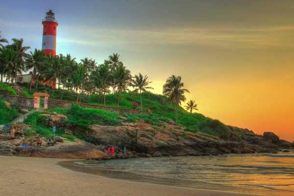 3 Days Munnar sightseeing Tour