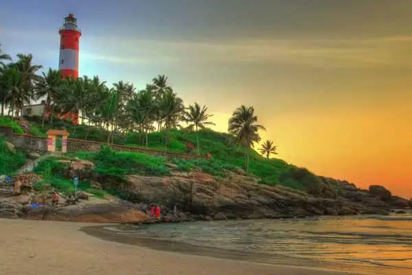 3 Days Munnar sightseeing Tour