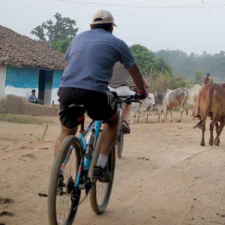 Cycling Tour in Mandawa
