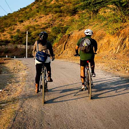 Jaipur elephant painting