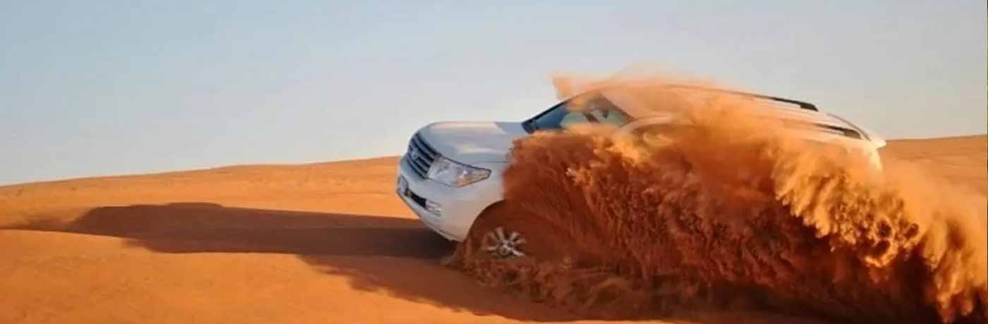 Rajasthan Special Interest